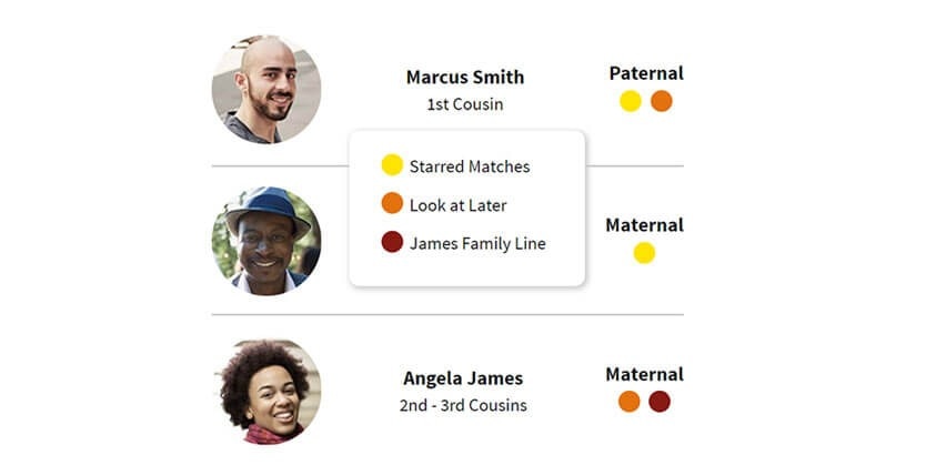 AncestryDNA Matches